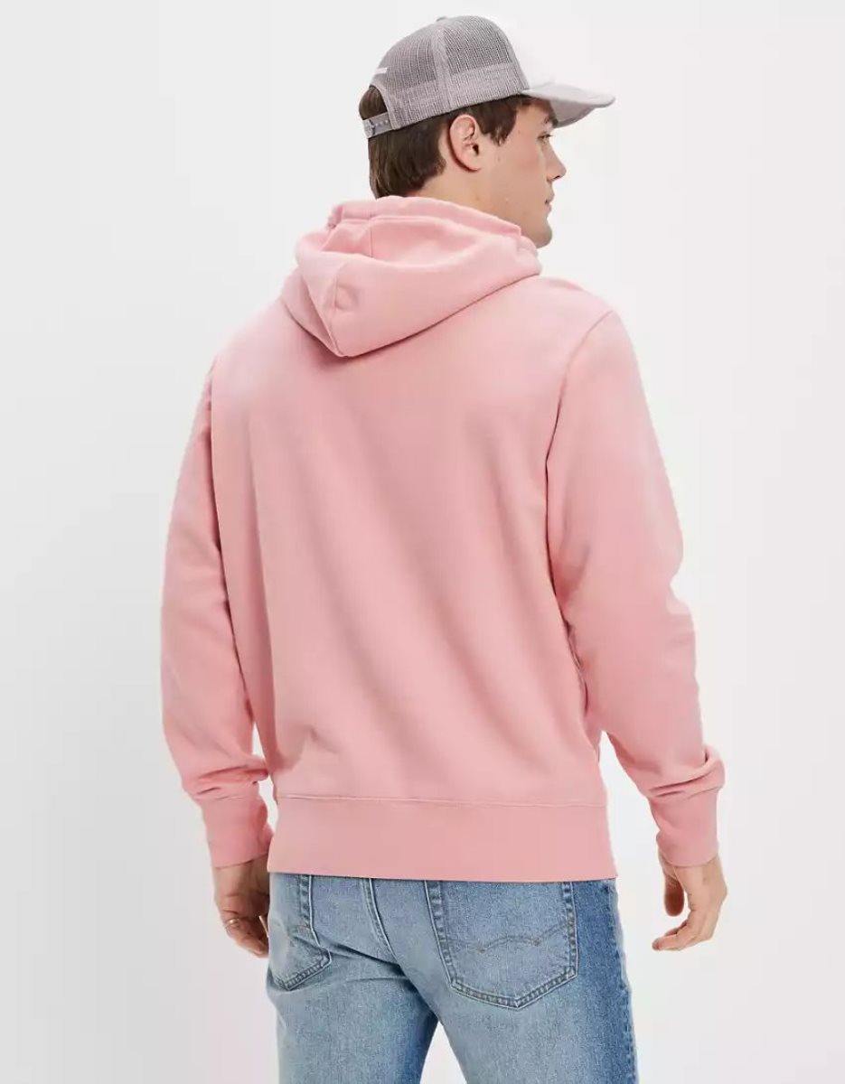 Sweat à Capuche American Eagle AE Super Soft Icon Graphique Rose Homme | YWS-31942997